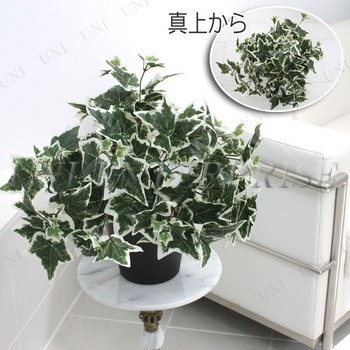 人工観葉植物 アイビー 白斑 50cm 観葉植物 小さい フェイクグリーン ミニ ミニサイズ ミニ観葉植物 インテリアグリーンの通販はau Pay マーケット パーティワールド