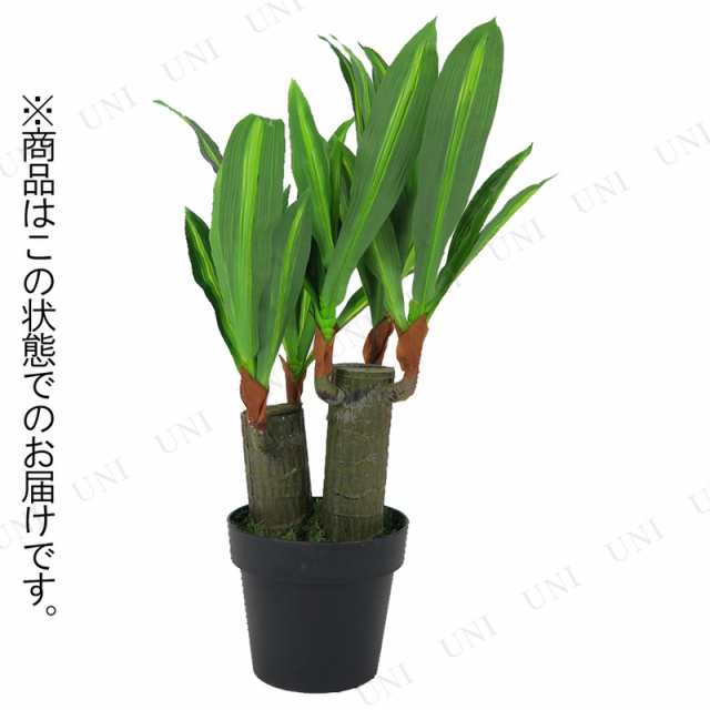 58cmドラセナフレグランス (造花・人工観葉植物) 【 フェイクグリーン