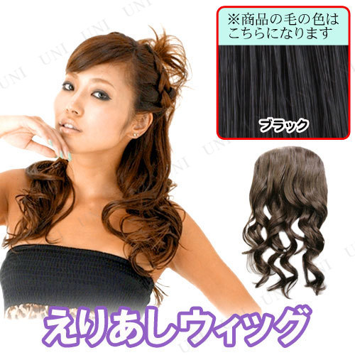 エリアシウィッグ KLY ブラック 【 ファッション レディース かつら ウィッグ 女性用 自然 ファッションウィッグ ポイントウィッグ 】