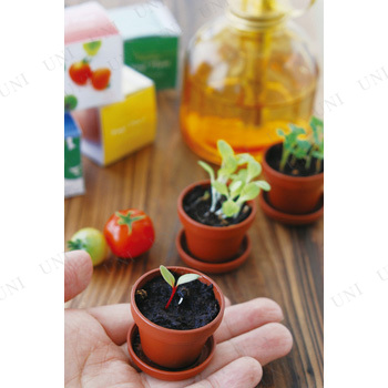 タイニィタイニィ プラント レタス 栽培キット 室内 家庭菜園 野菜 インテリア雑貨 室内園芸 栽培セット キッチン菜園の通販はau Pay マーケット パーティワールド