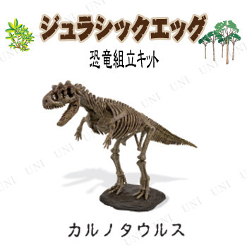カルノタウルス 骨格模型 恐竜 1/4 Amazon | VWUVWU 1/10 サイズ カルノタウルス 恐竜 絶滅 古生物