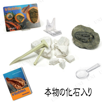 化石発掘セット 三葉虫 【 玩具 おもちゃ 人形 フィギュア オモチャ