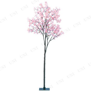 取寄品】 200cm 桜ツリー (桜立木) 【 桜 造花 お花見 入学式 飾り