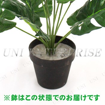 Funderful 人工観葉植物 光触媒 ミニモンステラ 45cm 【 光触媒