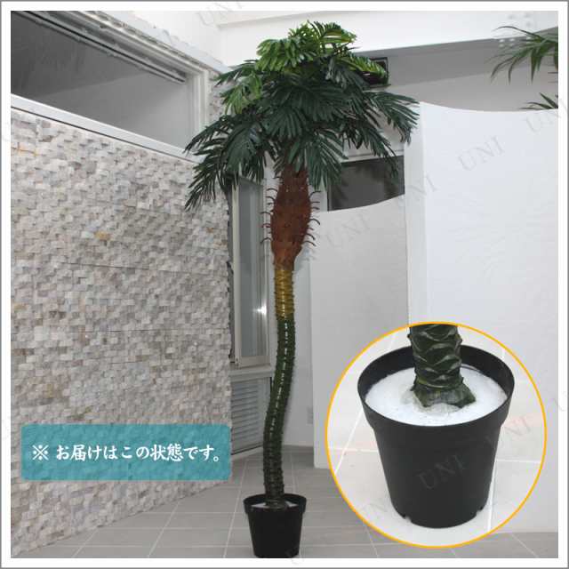 人工観葉植物 光触媒 パームヤシ 220cm 【 光触媒 フェイクグリーン 消臭 ヤシの木 インテリア 観葉植物 抗菌 椰子 大きい  インテリアグリーン 】｜au PAY マーケット