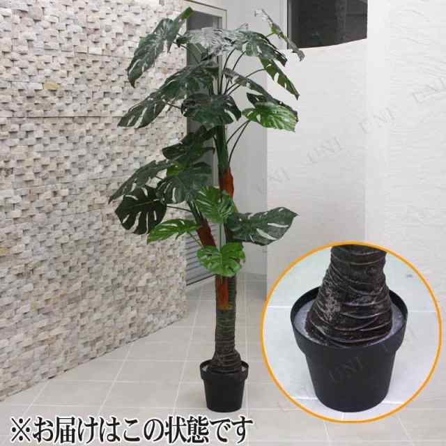 人工観葉植物 光触媒 モンステラ 165cm 【 光触媒 フェイクグリーン 消