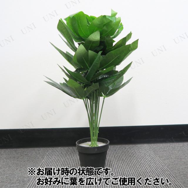 人工観葉植物 光触媒 ミニパキラ 55cm 光触媒 フェイクグリーン 消臭 ミニ インテリアグリーン 抗菌の通販はau Pay マーケット パーティワールド