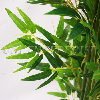 人工観葉植物 光触媒 バンブー 青竹 210cm ENTERPRISE 店舗装飾品 季節 イベント 七夕 光触媒加工 空気浄化 脱臭 抗菌_1