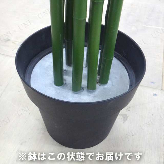 人工観葉植物 光触媒 バンブー 青竹 210cm 【 光触媒 フェイクグリーン