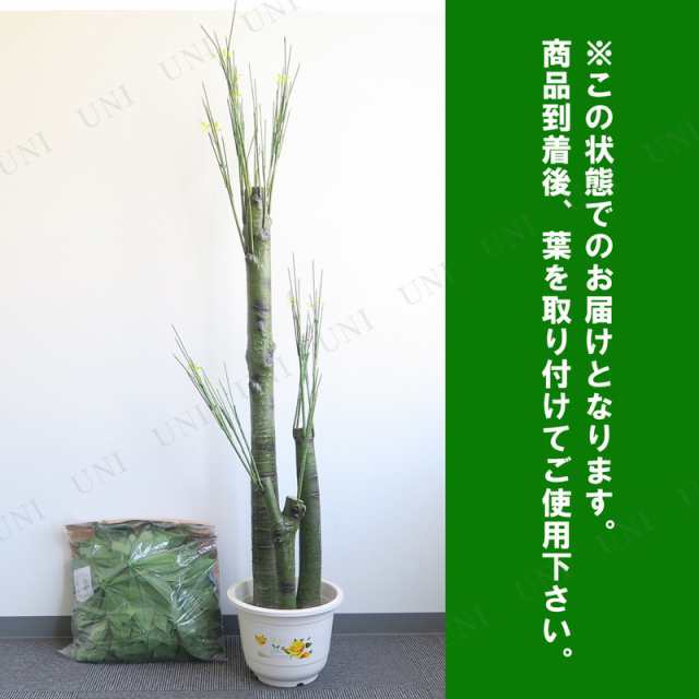 人工観葉植物 光触媒 パキラ 205cm 【 光触媒 フェイクグリーン 消臭 パキラ インテリアグリーン 抗菌 大きい 】｜au PAY マーケット