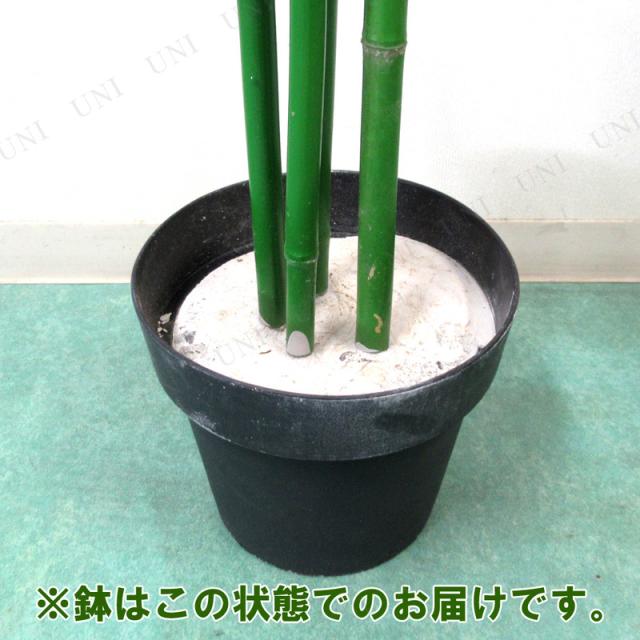 人工観葉植物 光触媒 バンブー 青竹 200cm ENTERPRISE 店舗装飾品 季節 イベント 七夕 光触媒加工 空気浄化 脱臭 抗菌_3