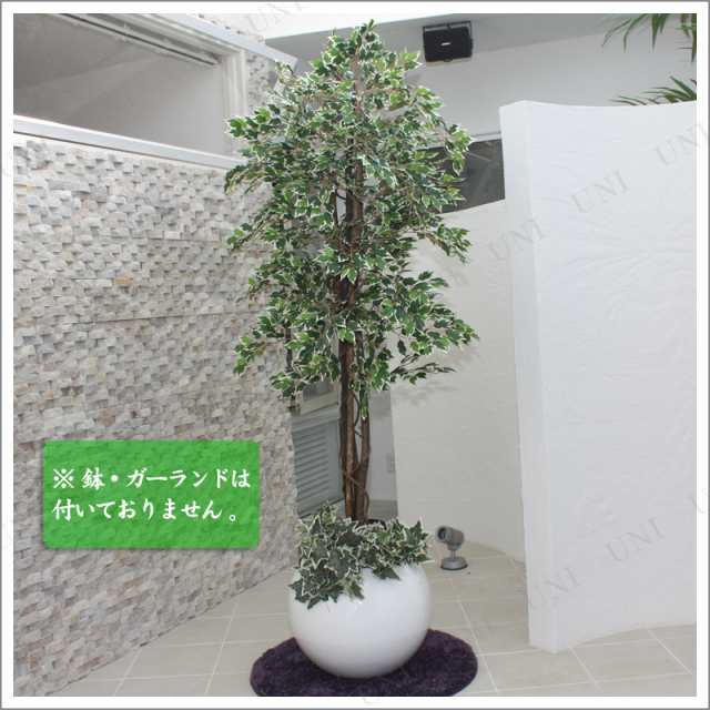 180cmホワイトフィカス 光触媒(人工観葉植物) 【 光触媒 フェイク ...