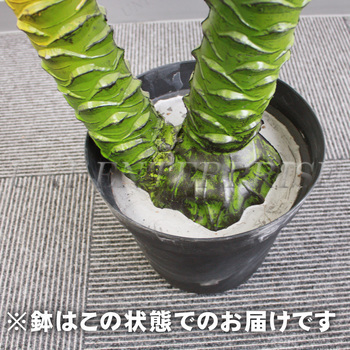 光触媒　人工観葉植物　ウォールグリーン　フェイクグリーン　パームヤシ70 Amazon｜光触媒 フェイクグリーン 造花ドットコム