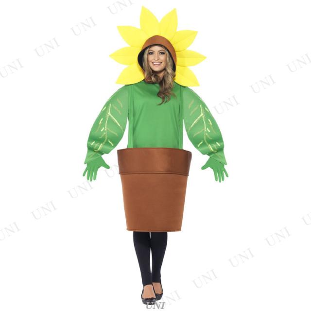 コスプレ 衣装 大人用 女性用 レディース 仮装 爆笑 笑える 面白 男性