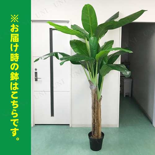 光触媒 人工観葉植物 ウォールグリーン フェイクグリーン バナナツリー ...