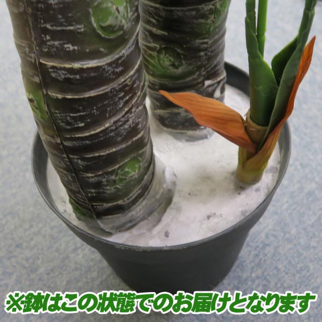 人工観葉植物 光触媒 ポトス 170cm ENTERPRISE 光触媒加工 水やり不要 お手入れ不要_2