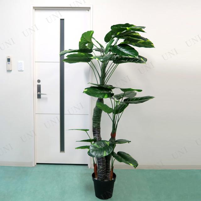 人工観葉植物 光触媒 ポトス 170cm ENTERPRISE 光触媒加工 水やり不要 お手入れ不要_3