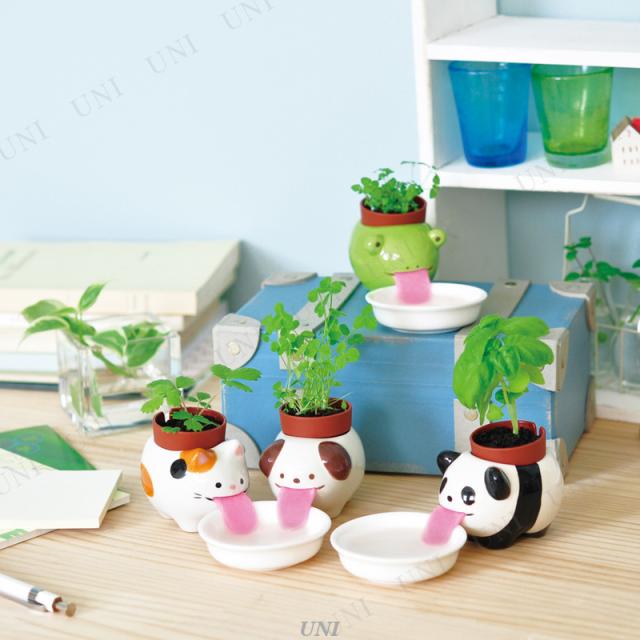 栽培キット ペロポン カエル ミント 家庭菜園 ハーブ 栽培キット インテリア雑貨 室内園芸 栽培セット キッチン菜園の通販はau Pay マーケット パーティワールド