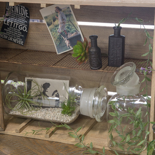 メディシンボトル 17cm インテリア雑貨 花瓶 花器 生け花 小物入れ ケース 収納 卓上 おしゃれ ビン びん ガラスボトル フラワーベースの通販はau Pay マーケット パーティワールド