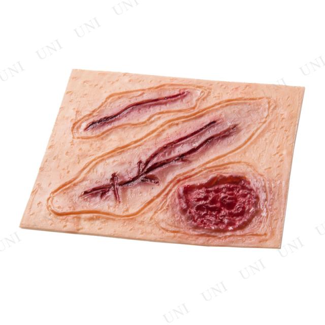 コスプレ 仮装 Scar Zombie E コスプレ 衣装 ハロウィン ハロウィン 衣装 プチ仮装 変装グッズ パーティーグッズ 化粧 特殊メイク ホラーの通販はau Pay マーケット パーティワールド