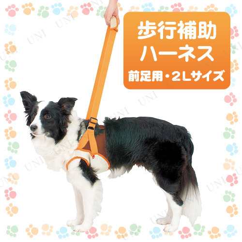 取寄品 ペティオ Zuttone歩行補助ハーネス前足用2l 犬用品 ペット用品 ペットグッズ イヌ 介護用品 介護用具 介護用ハーネスの通販はau Pay マーケット パーティワールド