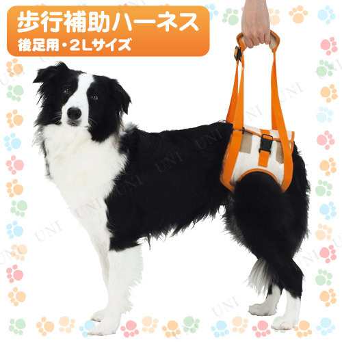 ペティオ Zuttone歩行補助ハーネス後足用2l ペット用品 犬 犬用品 ペットグッズ イヌ 介護用品 介護用具 介護用ハーネスの通販はau Pay マーケット パーティワールド