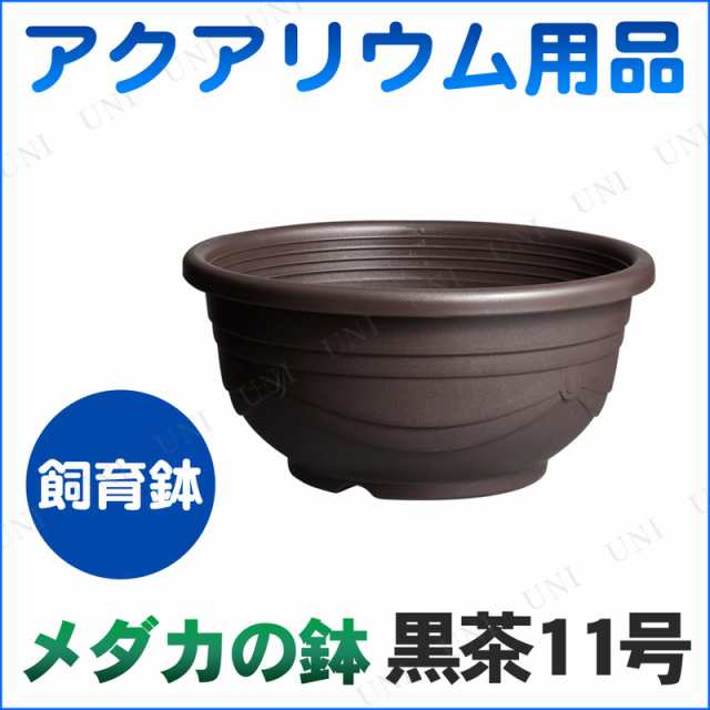 取寄品 メダカ鉢黒茶 11号 アクアリウム用品 ペット用品 ペットグッズ メダカ水槽 めだかの通販はau Pay マーケット パーティワールド