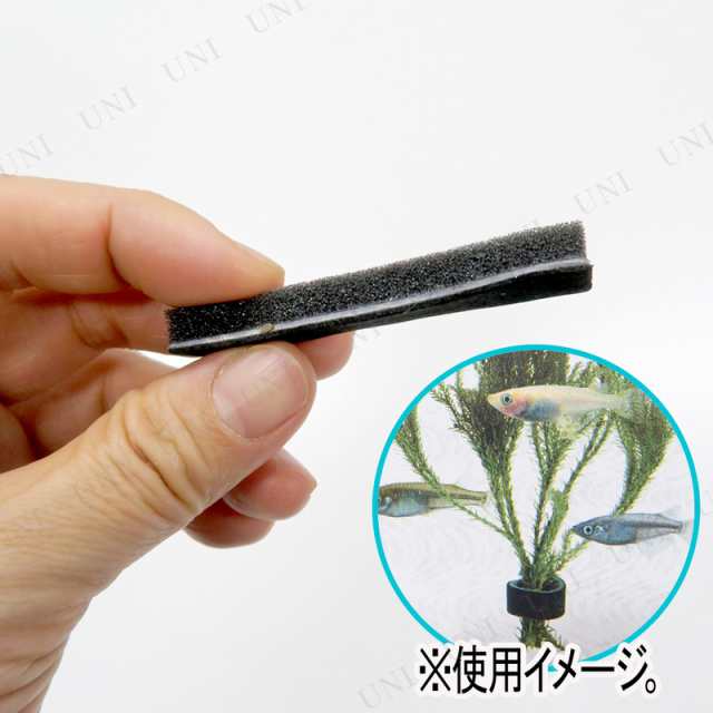 産卵藻のおもり 水草 おもり アクアリウム用品 ペット用品 ペットグッズ 水槽用品 水槽用具 産卵用品の通販はau Pay マーケット パーティワールド