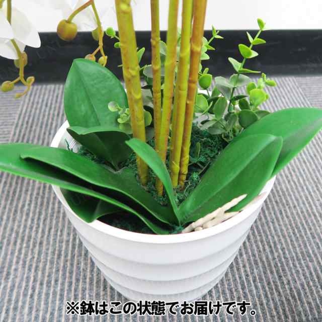 アートフラワー/胡蝶蘭　鉢付き、盆栽、観葉植物