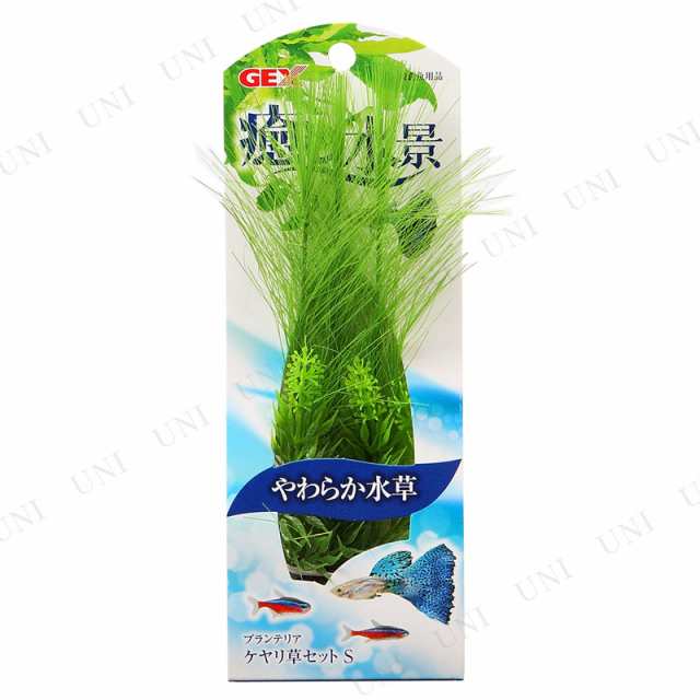 取寄品 ケヤリ草セットs アクアリウム用品 ペット用品 ペットグッズ 水草 水槽用品 水槽用具の通販はau Pay マーケット パーティワールド