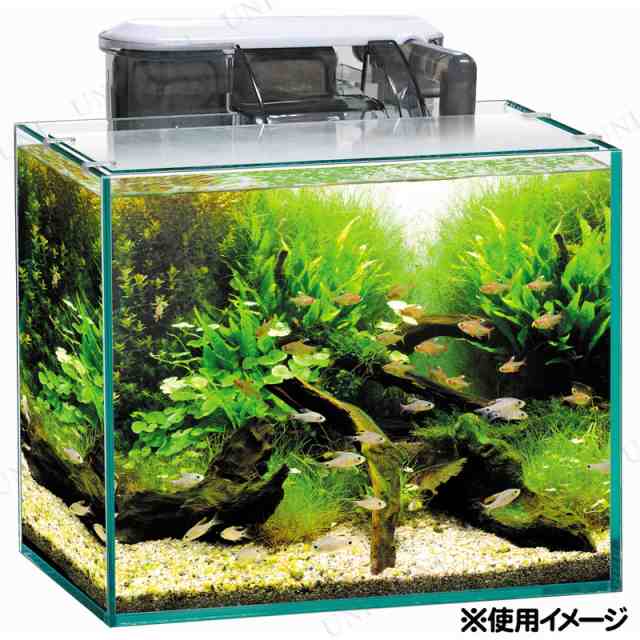 取寄品 観賞魚飼育セット グラステリア250 6点セット アクアリウム用品 ペット用品 ペットグッズ 水槽の通販はau Pay マーケット パーティワールド