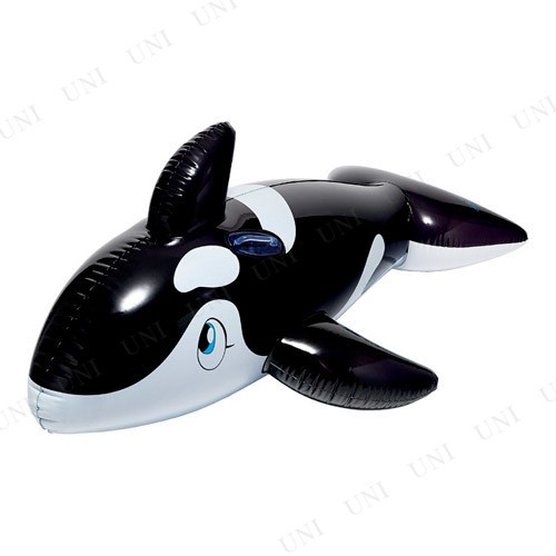 シャチフロート ブラック 180cm 【 海水浴 グッズ 水遊び用品