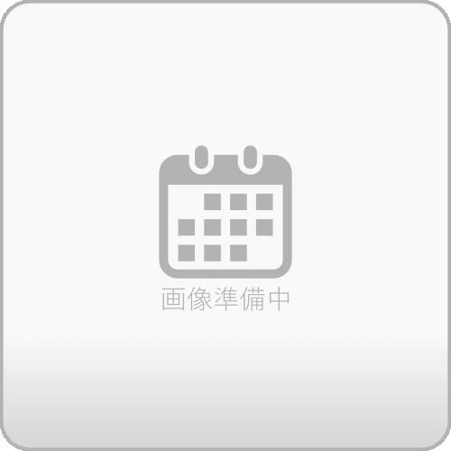2025/09/20発売予定! 藤城清治B 2026年 壁掛けカレンダー CL-464 CL26-464