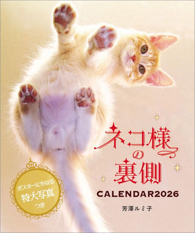 残りわずか】ネコ様の裏側カレンダー2026／芳澤ルミ子 2026年 壁掛け