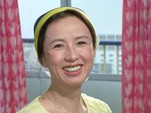 新品 八千草 薫主演 夕陽ヵ丘三号館 コレクターズDVD(HDリマスター版) 【昭和の名作ライブラリー 第67集】 (DVD) BFTD339-TC 12,810円