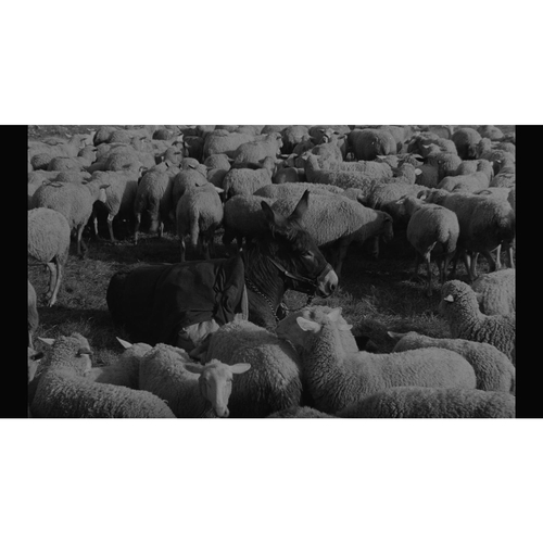 新品 ロベール・ブレッソン『バルタザールどこへ行く』『少女ムシェット』初回限定生産 DVD セット /  (2DVD) IVCF-5886-IVCの通販は 6,488円