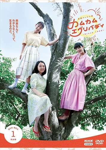 新品 連続テレビ小説 カムカムエヴリバディ 完全版 DVD BOX1 / 上白石萌音, 松村北斗, 村上虹郎 (4DVD) NSDX25356-NHKの通販は