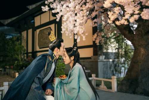 新品 女医 清落〜恋愛の処方箋〜 DVD-BOX1 シンプルBOX 5,000円