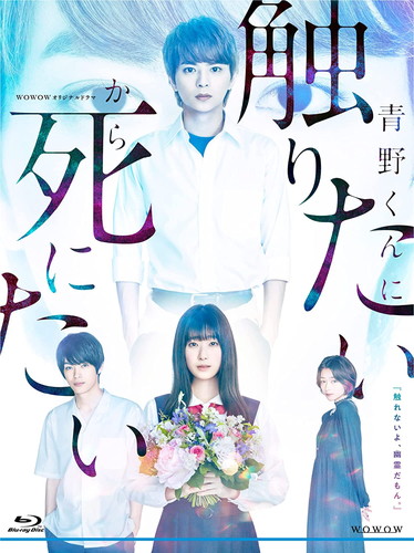 DVD/国内TVドラマ/青春探偵ハルヤ DVD-BOX / EYBF-10855 【公式通販】
