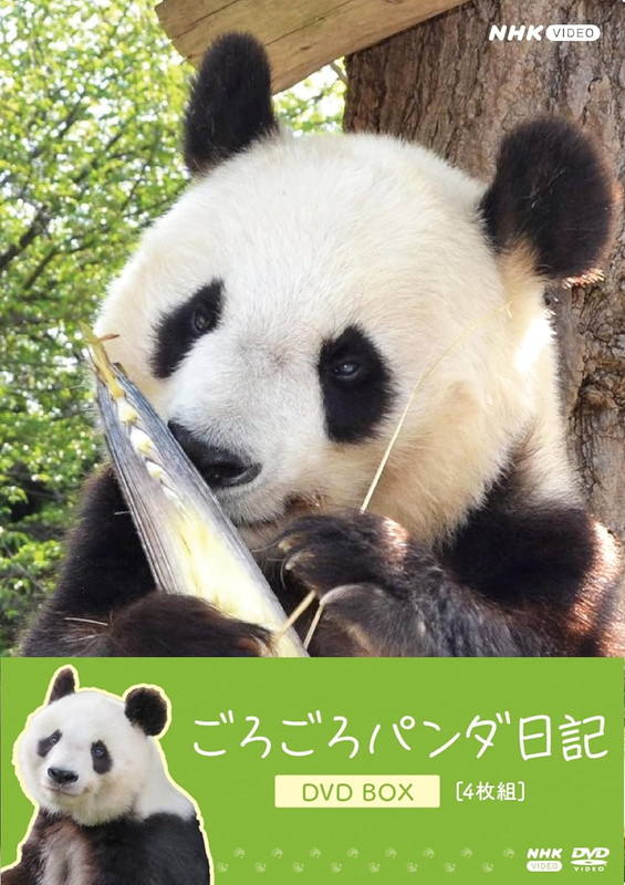 2026.03.27発売 ごろごろパンダ日記　DVD BOX（通常版） / パンダのタンタン(4DVD) NSDX-54708