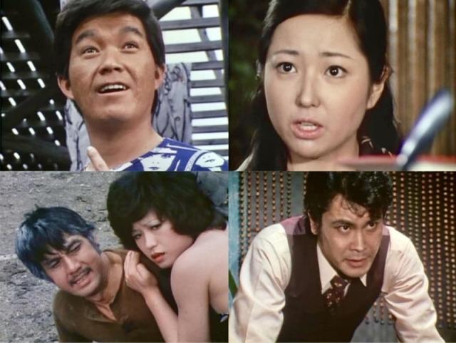 新品 特捜記者 コレクターズDVD 【昭和の名作ライブラリー 第163集