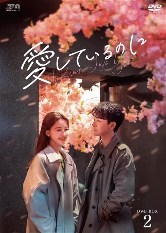 【美品】ジブリ　MovieNEX ９作品　特典DVD 純正ケース スタジオジブリ 【未使用品】千と千尋の神隠し［特典DVD＋純正