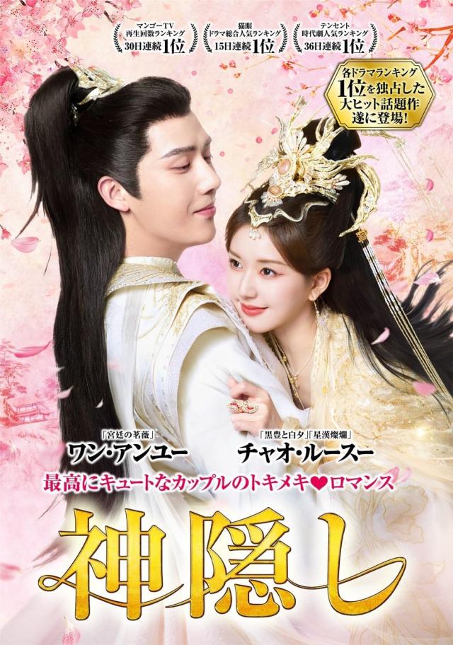 さ DVD/海外TVドラマ/ラブ・ドクター 秘密の結婚生活は前途多難!? DVD-