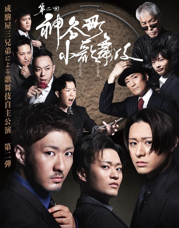 新品 神谷町小歌舞伎〜成駒屋三兄弟の挑戦〜 弐 / (2DVD) TCED7784-TC