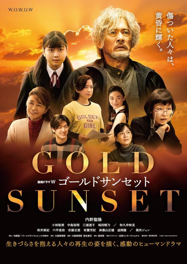 新品 連続ドラマW　ゴールドサンセット　DVD-BOX / (3DVD) TCED8341
