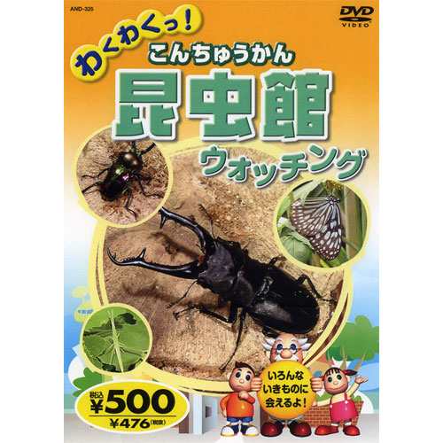 昆虫館 こんちゅうかん ウォッチング KID-1404 [DVD]