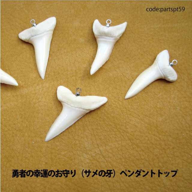 ペンダントトップ 【DM便可】サメ牙 サメ歯 (青サメ) 開運祈願 漁業のお守り(原産地インドネシア・スマトラ島)金具加工日本partspt59の通販は