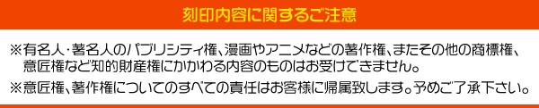 刻印無料 レーザーポインター ペン型 赤色レザー 日本製 PSCマーク認証 コンパクト 小型 指示棒 ペンライト 会議 プレゼン 講義  工事現場の通販はau PAY マーケット - WIL-MART