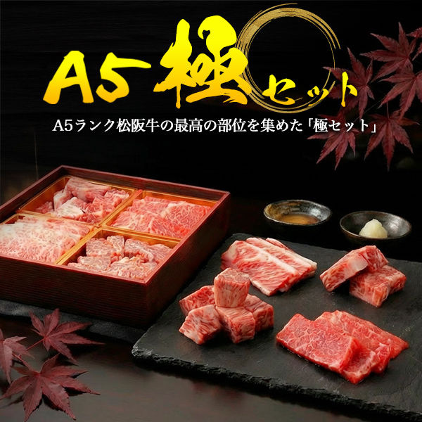 肉 父の日 ギフト 焼肉 ステーキ 極み4点セット 松阪牛 A5ランク 計600g ご褒美 誕生日 お祝い 贈答用 グルメ 高級肉 詰合せ 肩ロース モモ ヒレ ロース お肉セット 冷凍配送 焼き肉 御祝 お礼 内祝 サイコロステーキ 霜降り お肉 肉 希少部位 ブランド牛 松坂牛_1