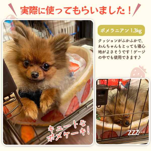 いちごケーキ ペットベッド 猫用 犬用 ふかふか クッション付き 滑り 